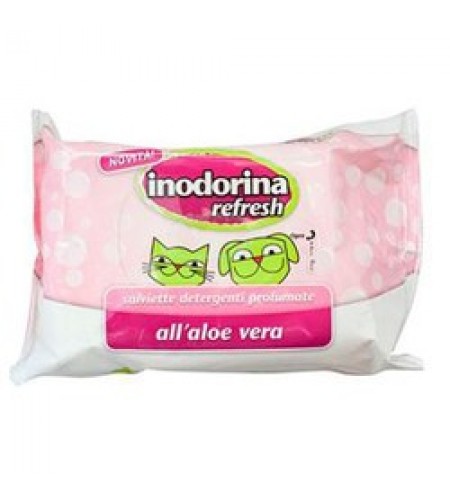 INODORINA TOALHITAS REFRESCANTES ALOÉ VERA 40UNID